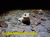 /home//u458753944/public_html/sourcegallery//////McKaig Nature Center/2020-10-11/PA110732.JPG